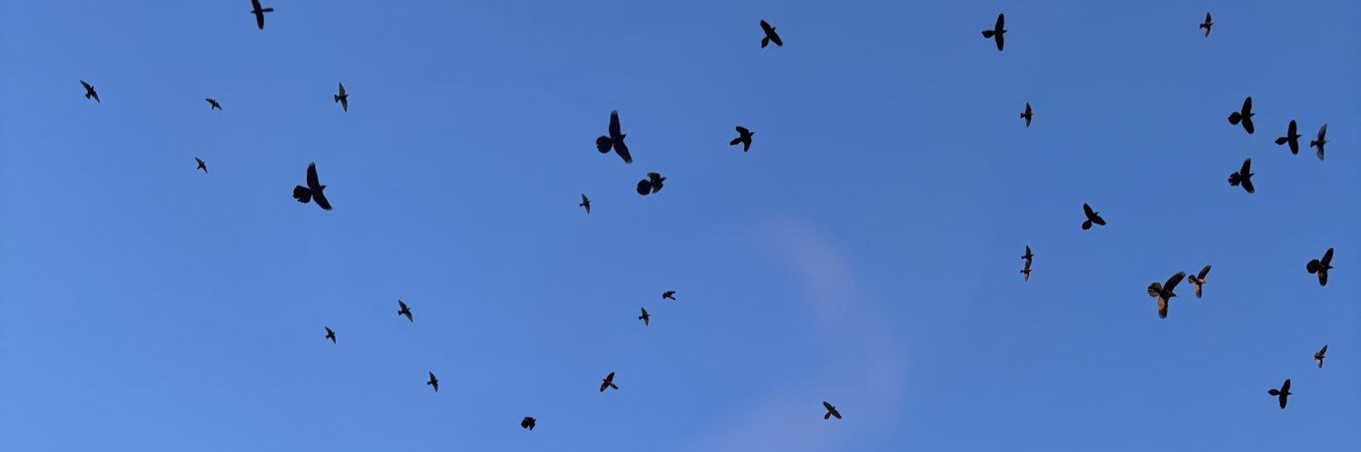 chasegillies's profile banner image