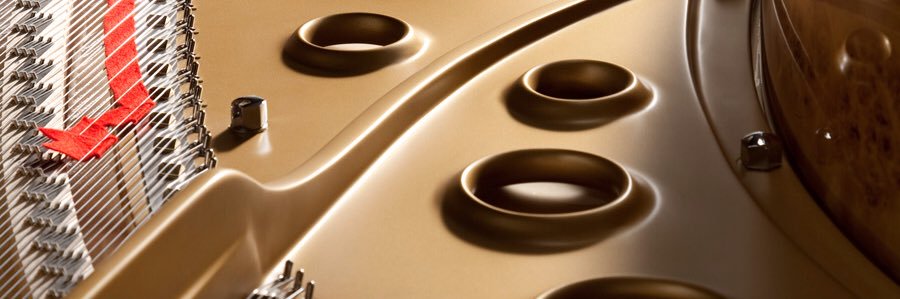 Samuel Freije banner