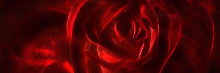 RedMoonCyclist's profile banner image