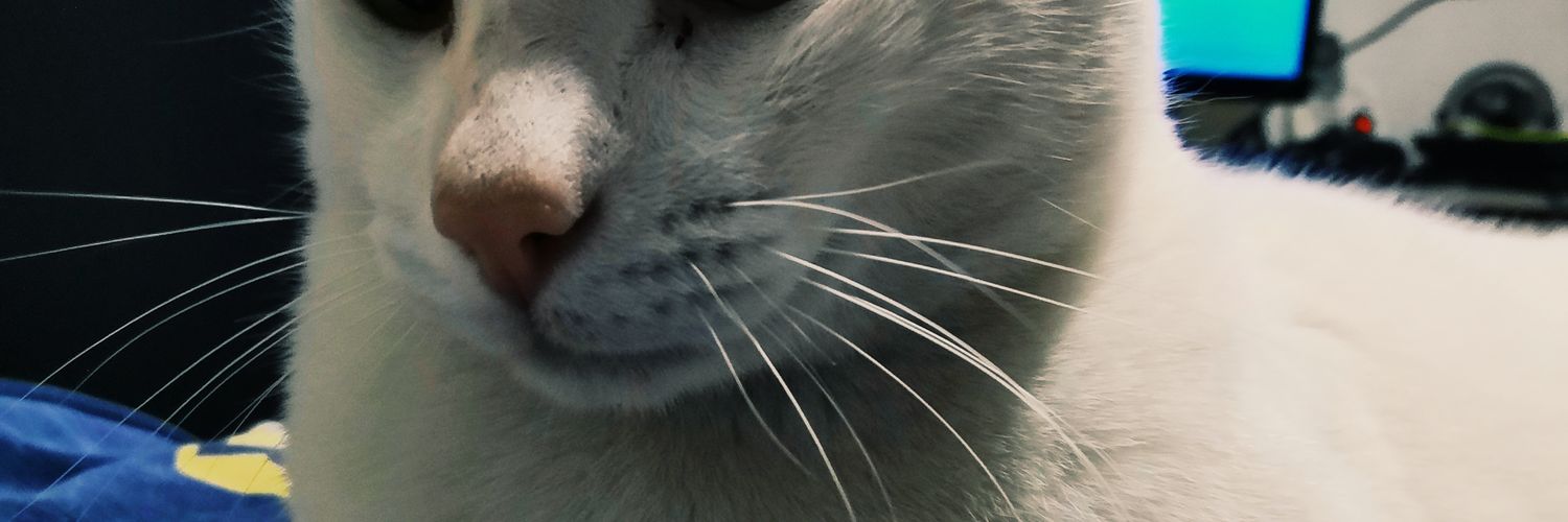ivanfrankiee's profile banner image