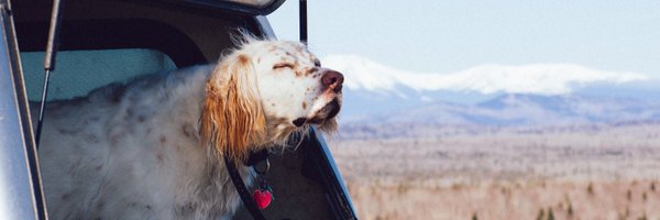 maryxhaley Profile Banner