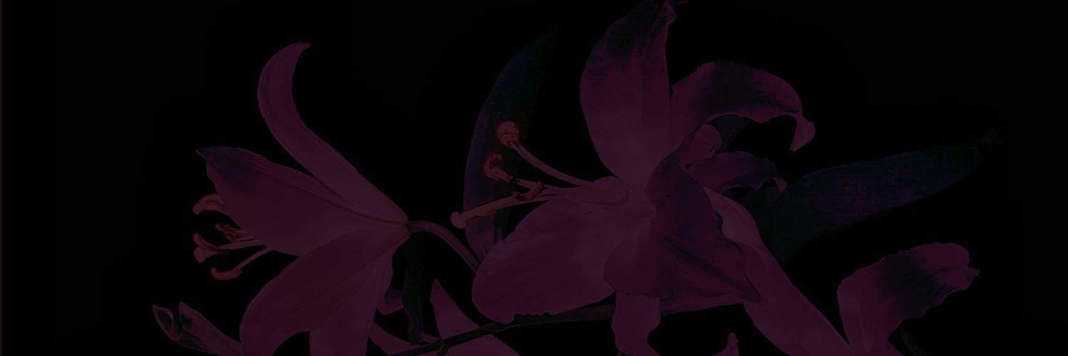 HaneKS_'s profile banner image