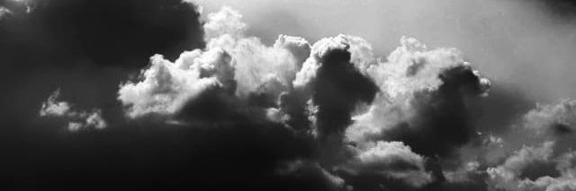 ewokel's profile banner image