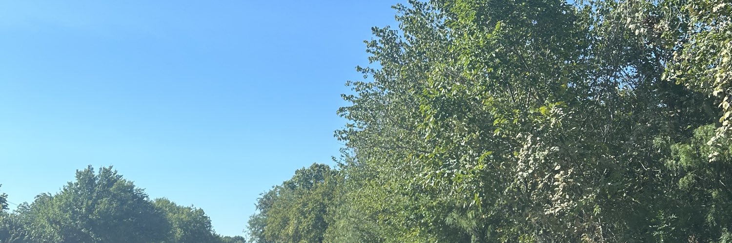 hiltonhalll's profile banner image