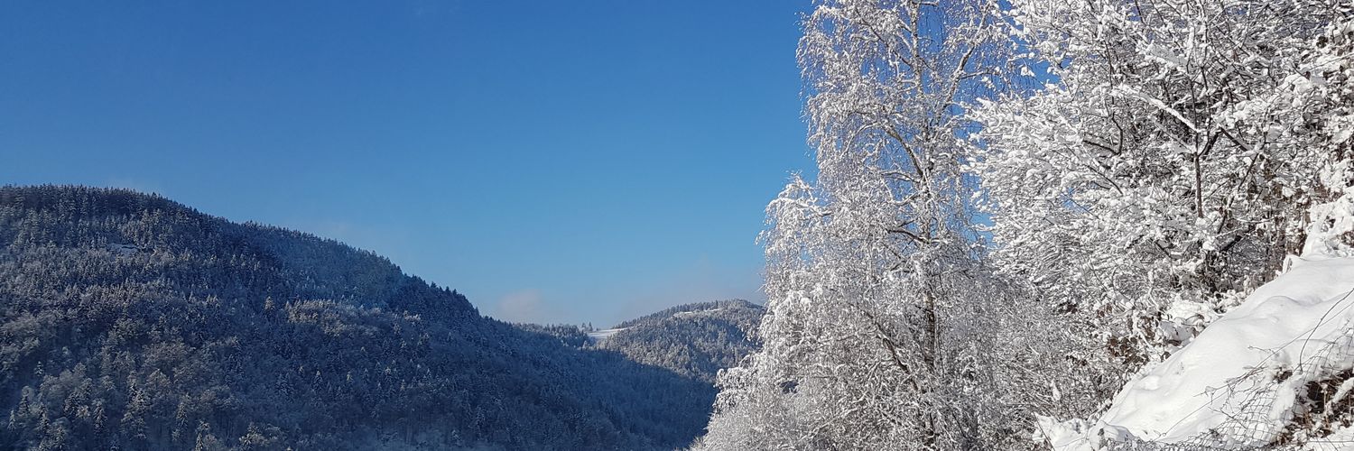 tiasa8's profile banner image
