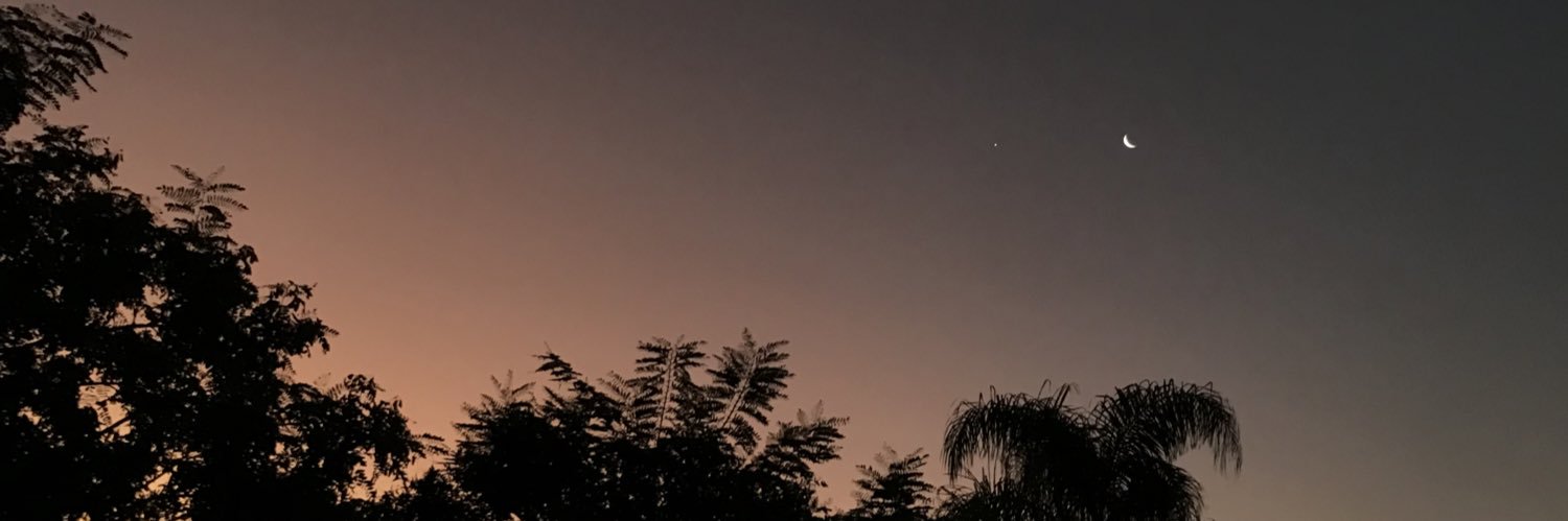 fe_herrmann's profile banner image