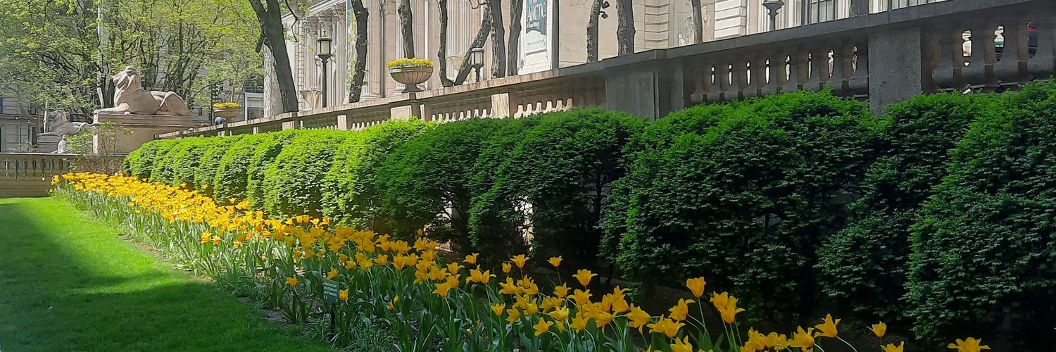 Katie Shea Boutillier banner