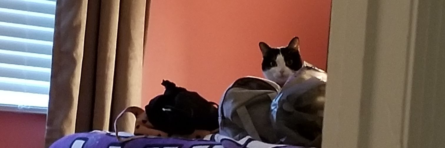 hamburger_h_cat's profile banner image