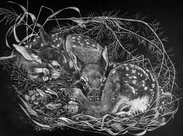 pamduncombe's profile banner image