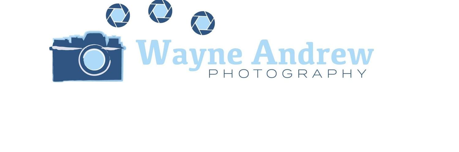 WayneAndrewF1's profile banner image