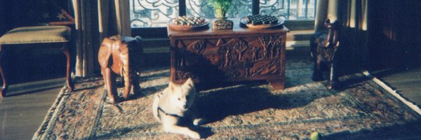 joellerami Profile Banner