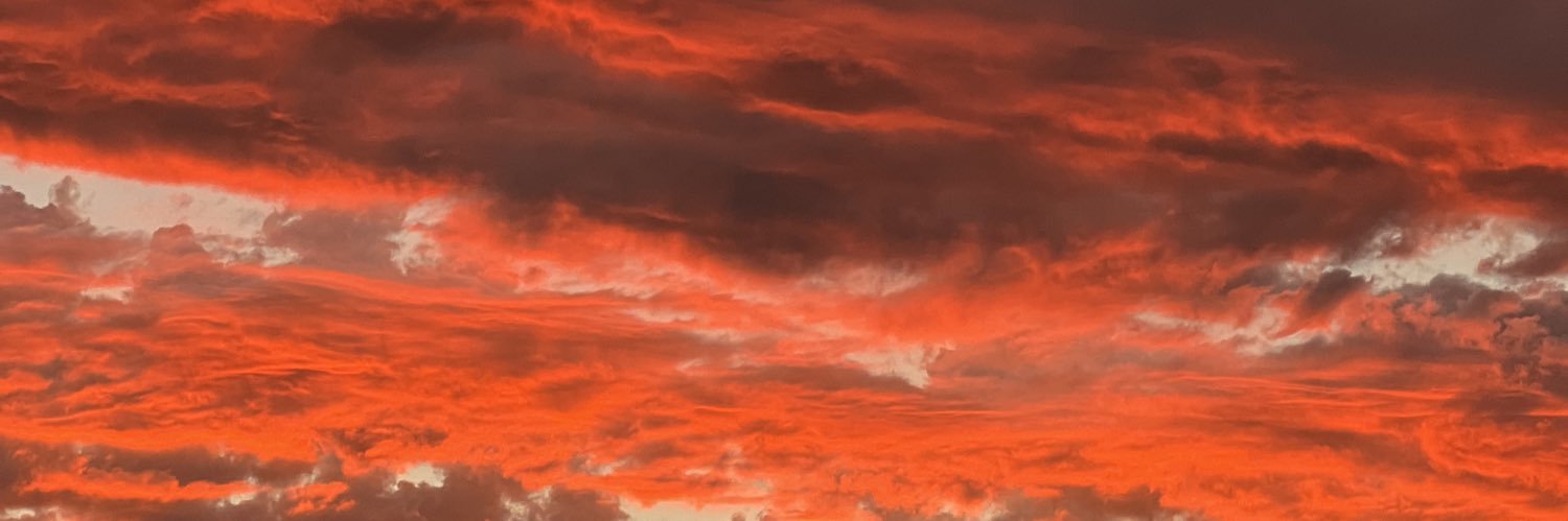 theyscreamelena's profile banner image