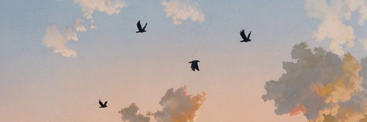 lucabsm's profile banner image
