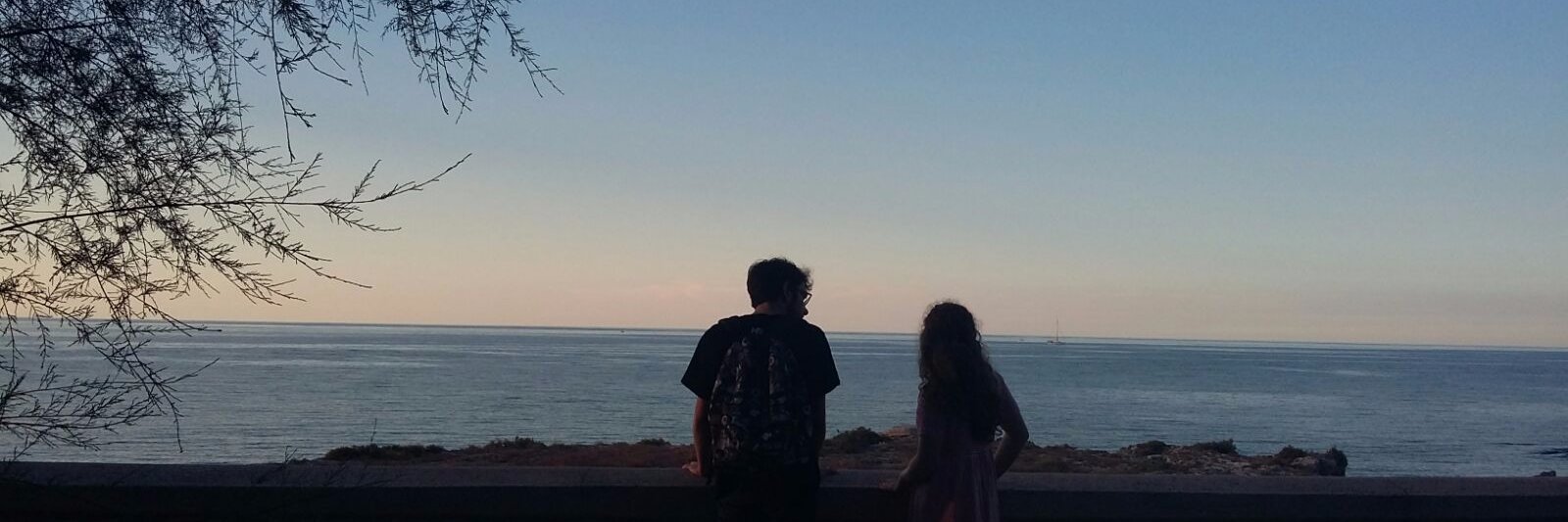 robyindolfi9's profile banner image