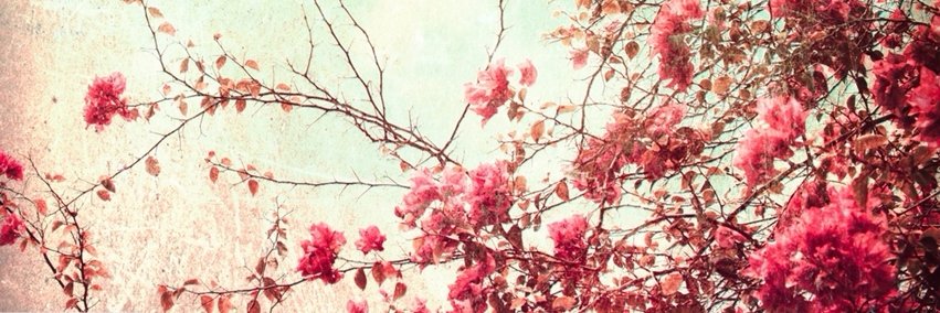 _bfleck's profile banner image