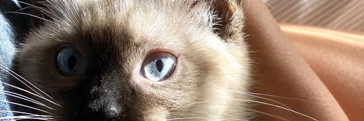 msoderberg_'s profile banner image