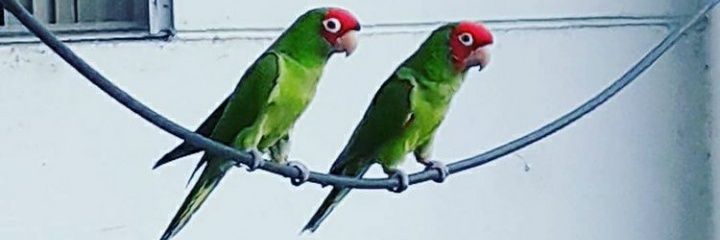 KAMINPA's profile banner image