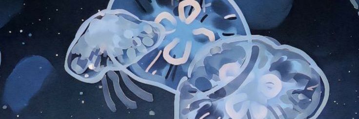 147Maruu's profile banner image
