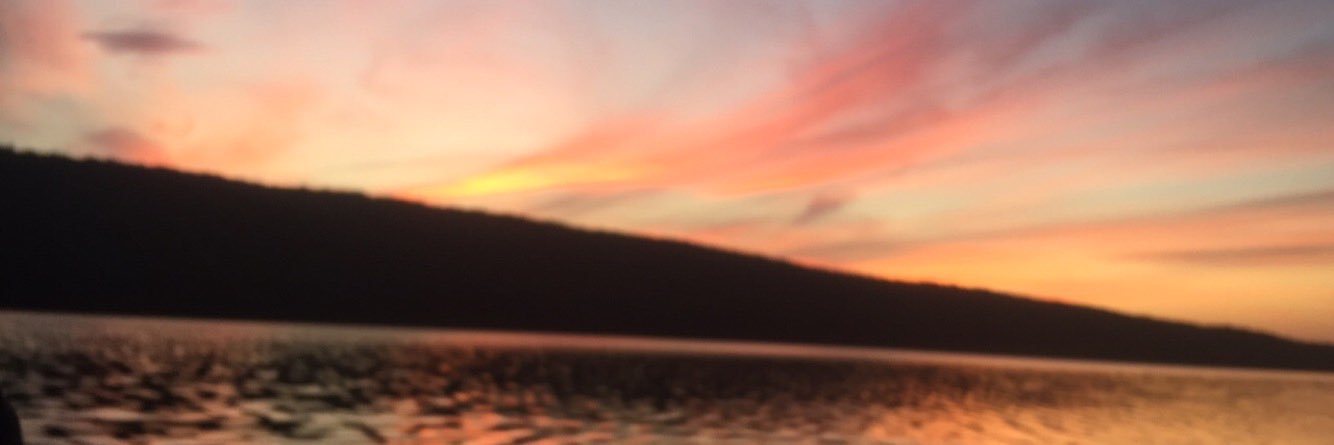 anna_misk's profile banner image
