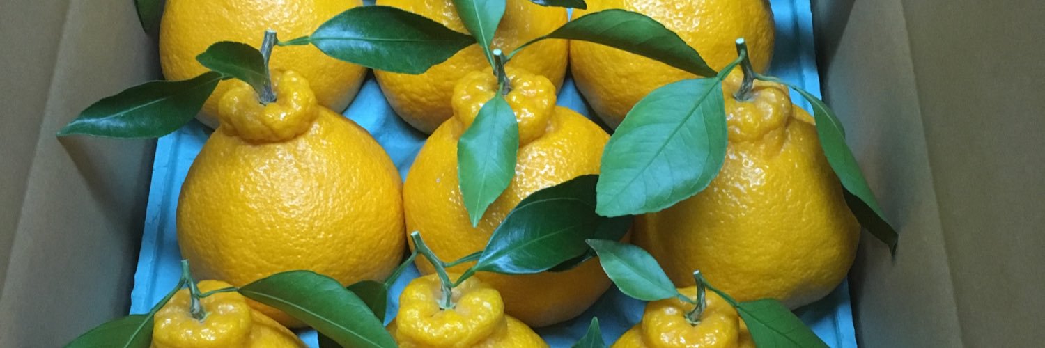 deep_orange15's profile banner image
