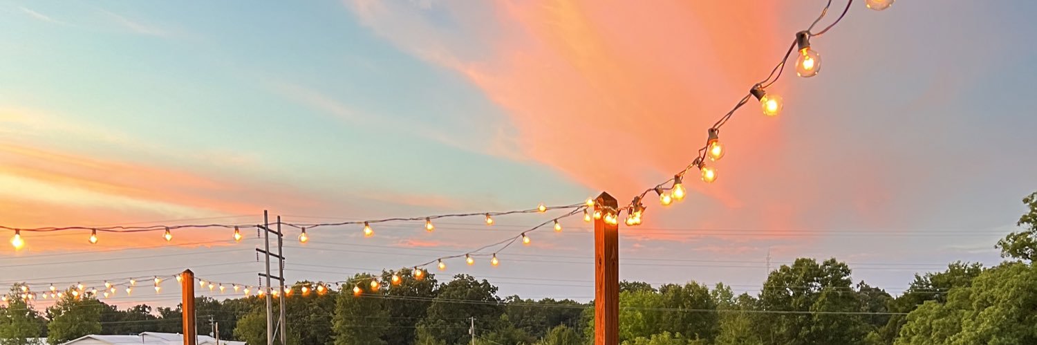 annslee00's profile banner image