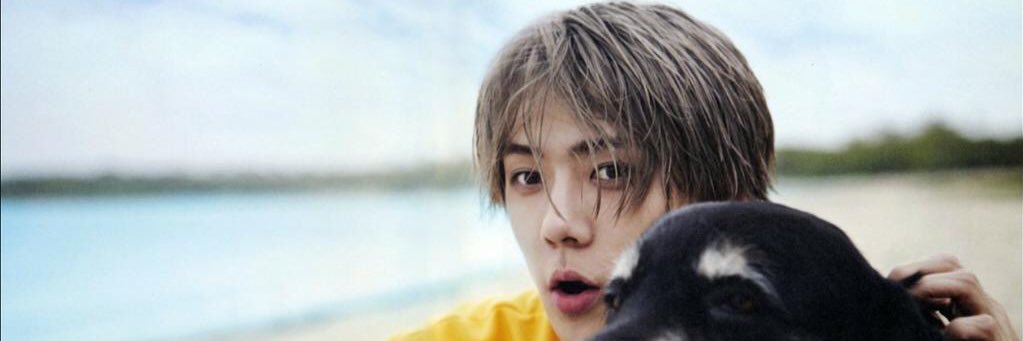 หลงยัยเขี้ยว🐧🐣🦊🐱 banner