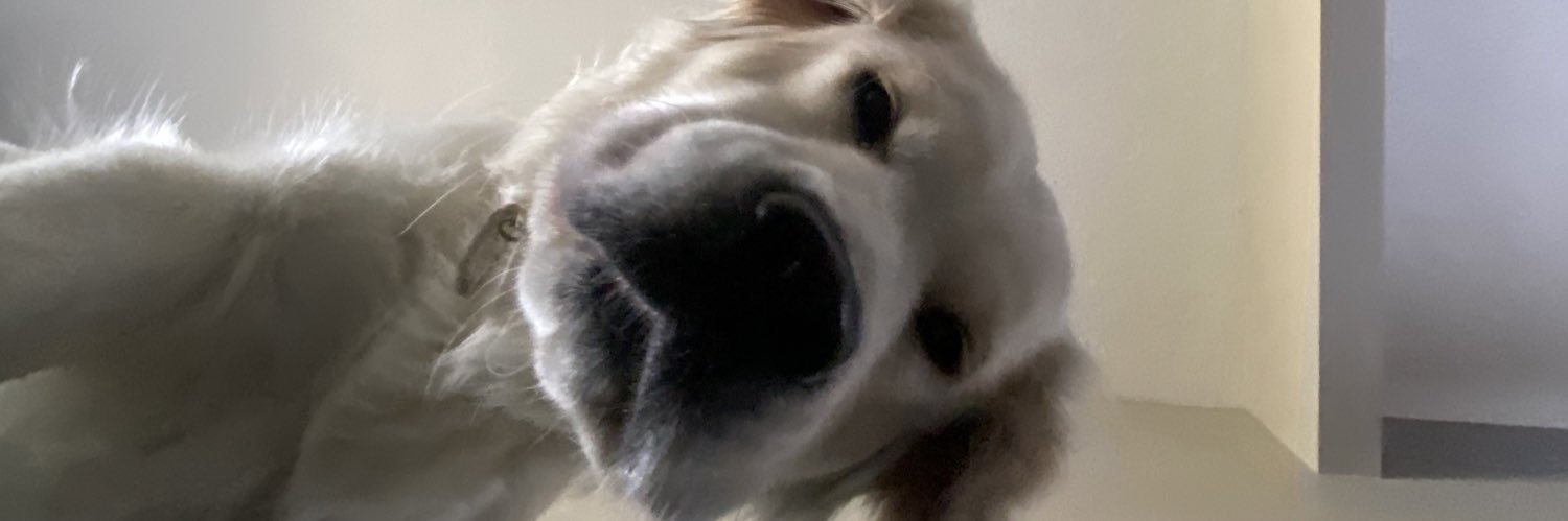 katejjackson03's profile banner image