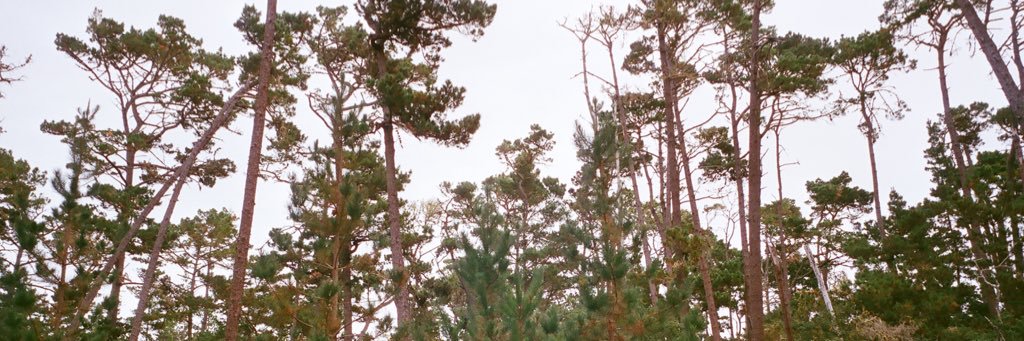369_io's profile banner image