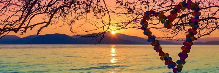 rozanitha's profile banner image