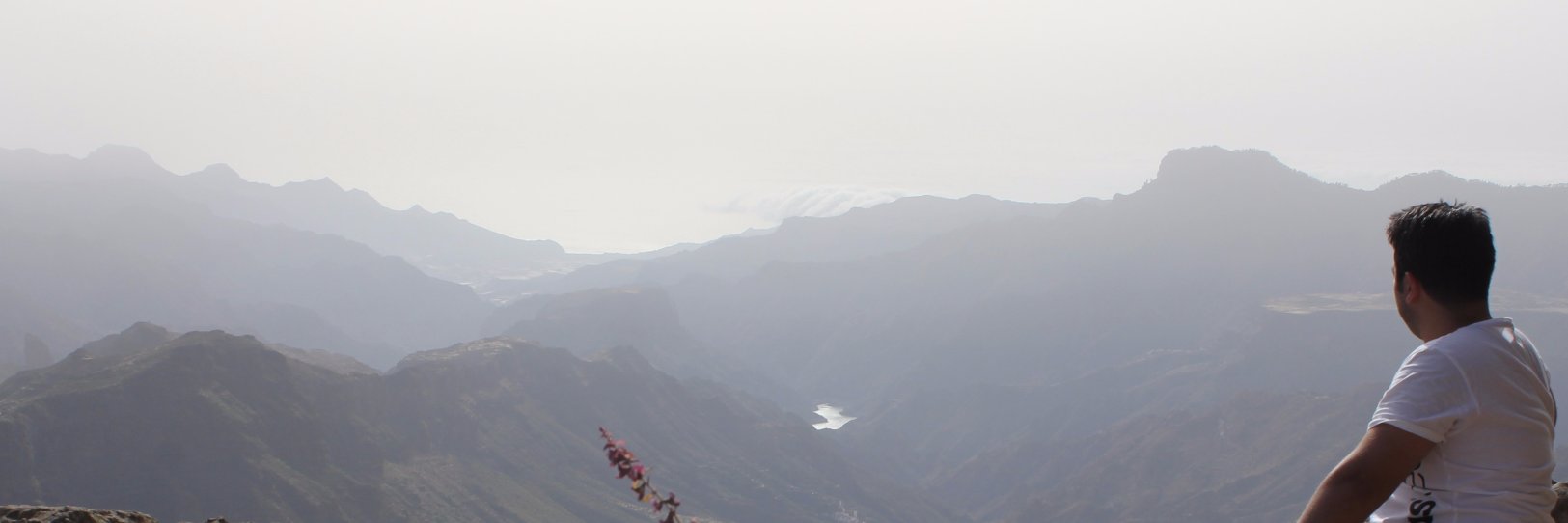 davidrodgi's profile banner image