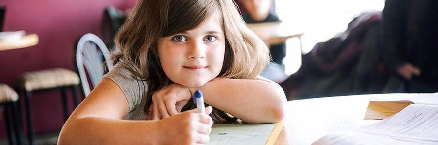 Michigan Alliance banner