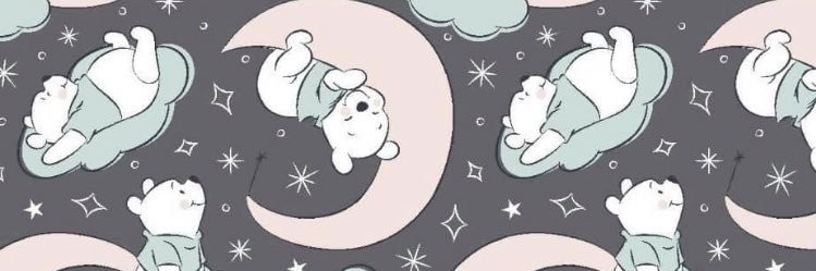 twentyonephans's profile banner image