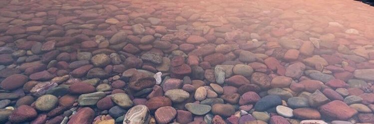 lolbowles's profile banner image