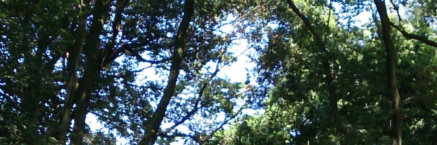 くまグミ banner