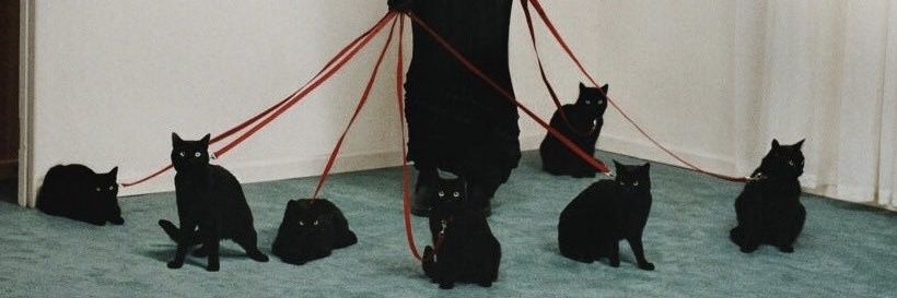 pia massaro🫒 banner