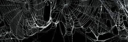 wickedbrxt's profile banner image