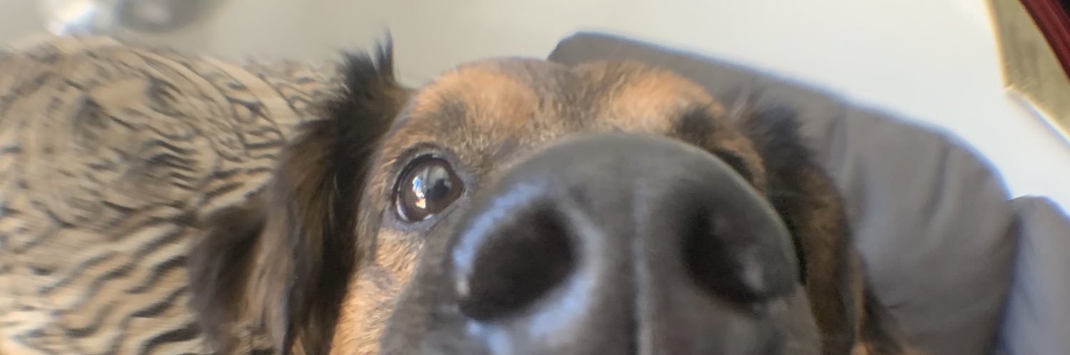 CochranCorine's profile banner image