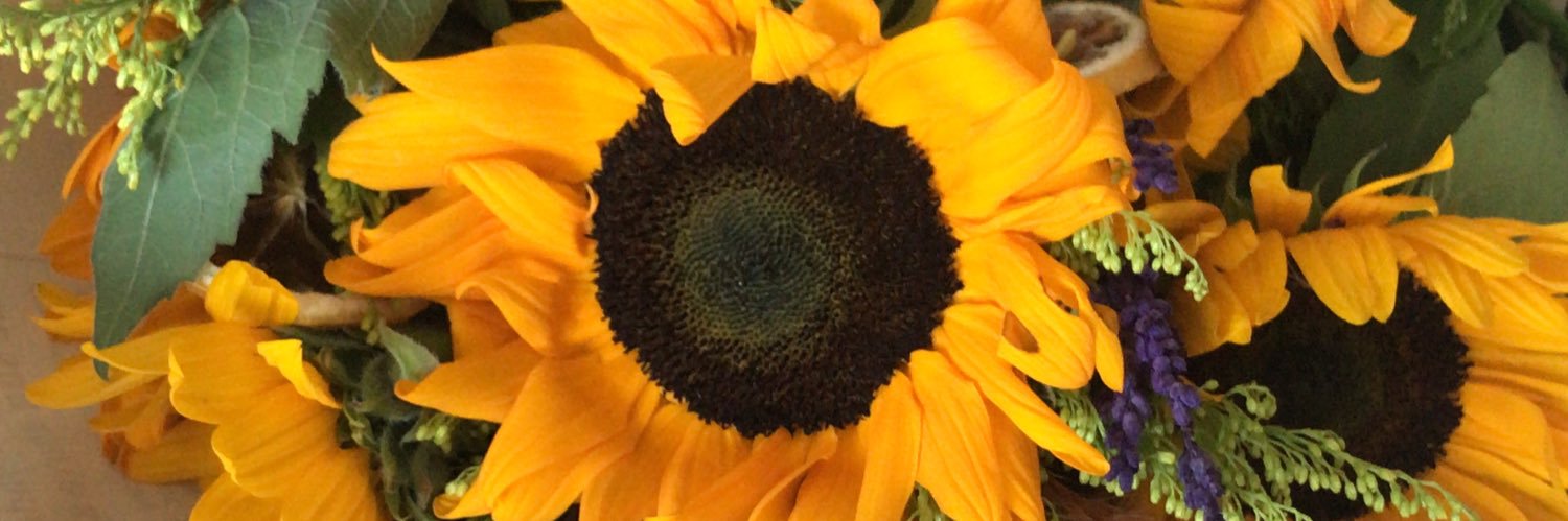 cagsarsengul's profile banner image