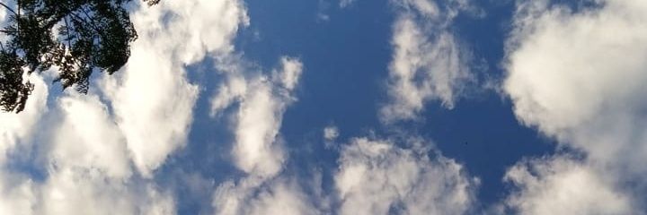 BrianCynzer's profile banner image