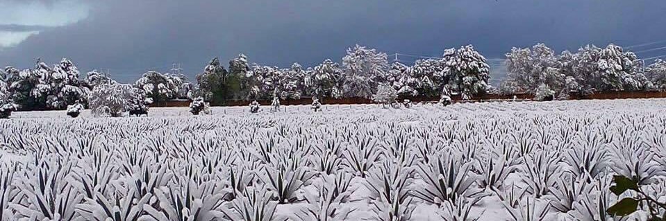 Hugo René Ruiz Esparza banner
