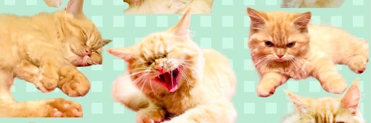 Psst_Zitts's profile banner image