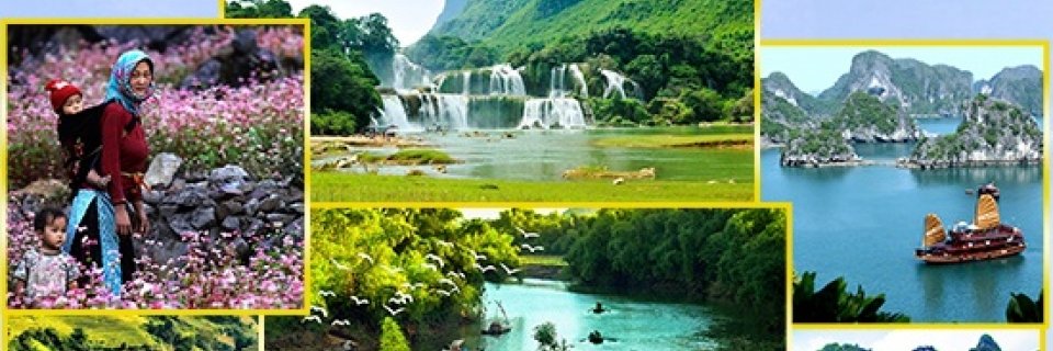 XodaTravel's profile banner image