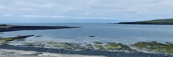 Carolinep4 Profile Banner