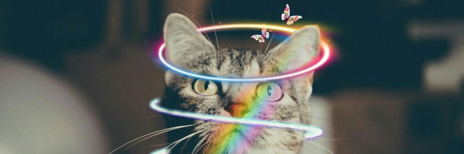dillaale's profile banner image