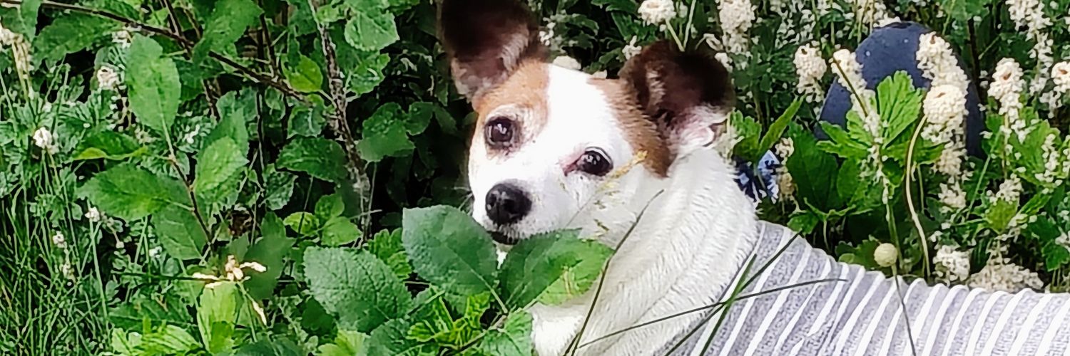 GregJacobsPhoto's profile banner image