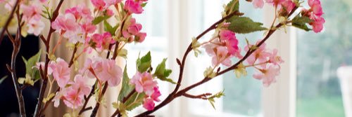 queenchloe_vz's profile banner image