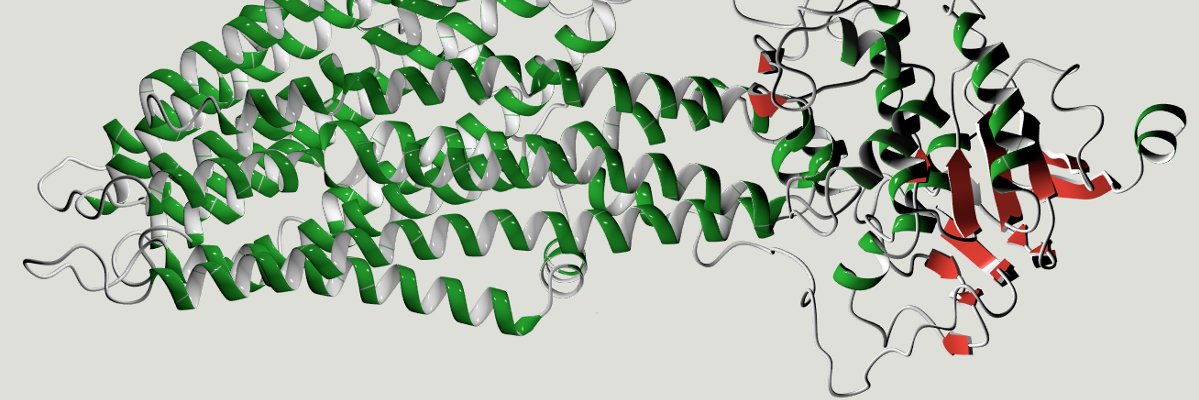 David Gilmore banner