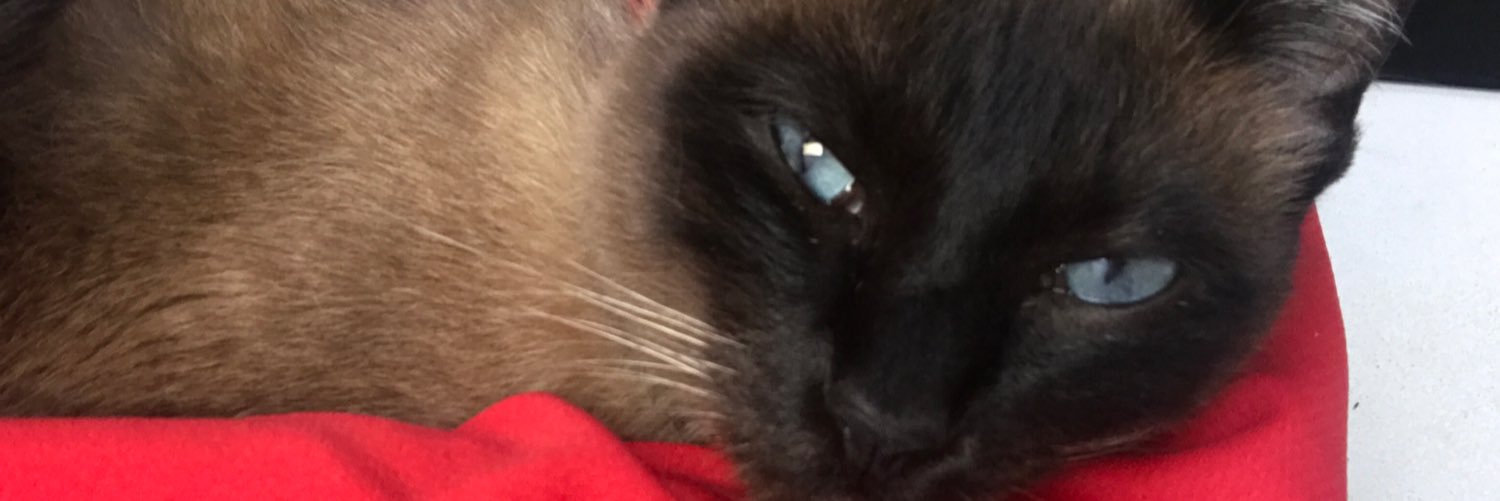 Flavi0Leal's profile banner image