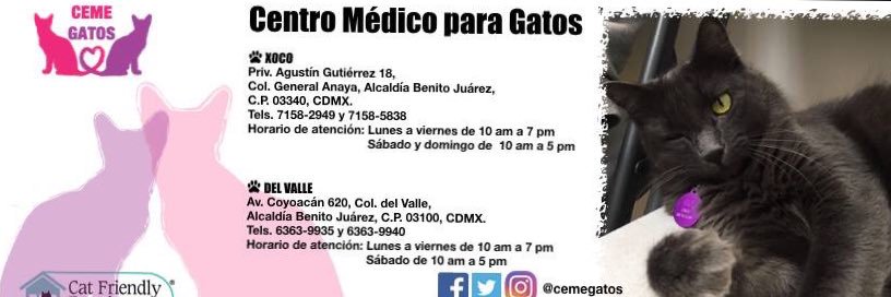 cemegatos's profile banner image