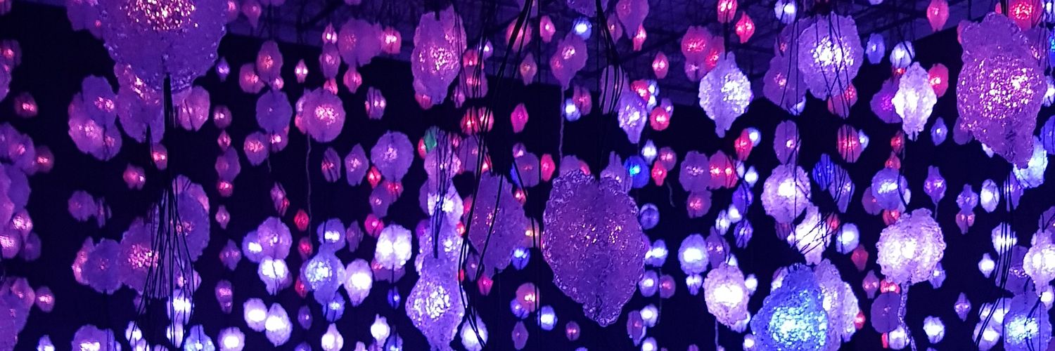 Daniel Buckley banner